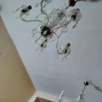 لوستر
