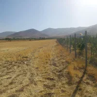 زمین باغی در ویهج اول جاده قمرعلی