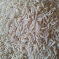 برنج صدری  شمالی