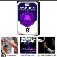 ۳ عدد هارد ۸ ترابایت بنفش وسترن دیجیتال