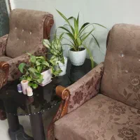 مبل ۴ نفره سالم