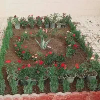 باغبانی و سمپاشی درخت کاری گل کاری کودهی