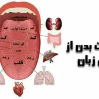 استخدام کاردرمنزل برای خانم ها با گوشی|استخدام بازاریابی و فروش|بوشهر, |دیوار