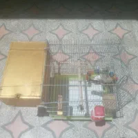قفس پرنده