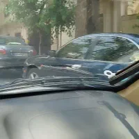 پارس سال 99|خودرو سواری و وانت|بوشهر, |دیوار