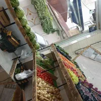 فروش لوازم میوه فروش