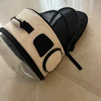 کیف پت