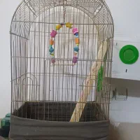 قفس پرنده