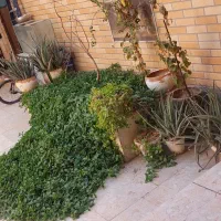 خانه-ویلایی-نزدیک-حرم-خ-امام-خمینی