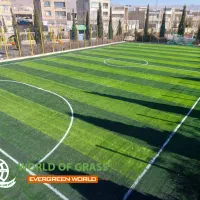 بازیکن برای امروز ساعت ۴ چمن مصنوعی