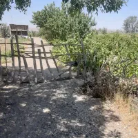 معاوضه  خودرو با زمین سنددار|فروش زمین و ملک کلنگی|محمدشهر, همایون ویلا|دیوار