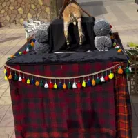 دروازه،جایگاه خواننده،مافه گه،غرفه،سایبان بااسپیس|خدمات پذیرایی، مراسم|شوشتر, |دیوار