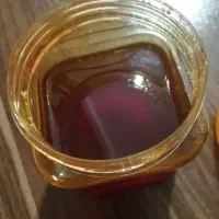 عسل زنبور وحشی کوهستان.عسل موشکورک|خوردنی و آشامیدنی|شیراز, شهرک گلستان شمالی|دیوار