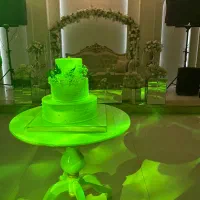 تشریفات مجالس ودینگ‌