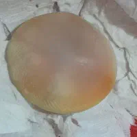 مهره اصل