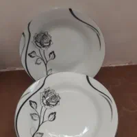 بشقاب|ظروف سرو و پذیرایی|اهر, |دیوار
