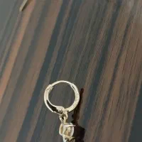 هر دو گوشواره مارک ژوپینگ (ضدحساسیت و رنگ ثابت)|بدلیجات|مشهد, الهیه|دیوار