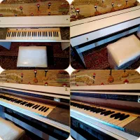 پیانو کاسیو