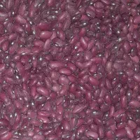 لوبیا قرمز یاقوتی با لوبیا چیتی|خوردنی و آشامیدنی|شیدا, |دیوار