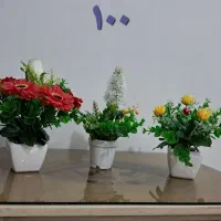 تعدادی گل مصنوعی دکوری گلدان شیک زیبا|گل مصنوعی|مشهد, انقلاب|دیوار