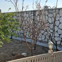 باغچه-700-متری-مناسب-مهمانی-و-دور-همی-ها