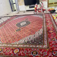 فرش|فرش|جوانرود, |دیوار