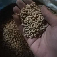 خوراک جوجه گوشتی/بوقلمون/مرغ تخمگذار/بلدرچین