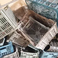 سبد سالم با قیمت مناسب|عمده‌فروشی|خلخال, |دیوار