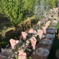 تشریفات مجالس چاوش