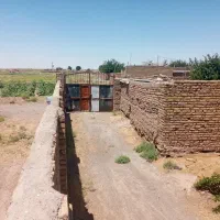 گاوداری-800متر-در-احمد-اباد