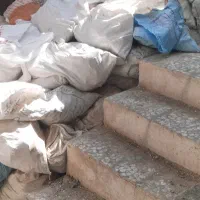نوخاله رایگان