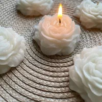 ساخت. وسفارش انواع. شمع های تزیینی و مناسبتی|صنایع دستی و سایر لوازم تزئینی|تهران, علم و صنعت|دیوار