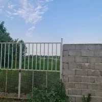 3قطعه-سند-تک-برگ-و-پروانه-دار-در-تالش-جاده-قروق