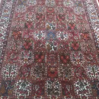 قالی دست باف|فرش|شهرکرد, |دیوار