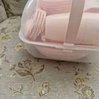 ظرف پیکنیک