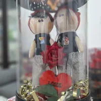 ولنتاین کادو|کلکسیون و سرگرمی|جهرم, |دیوار