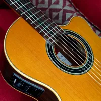 گیتار ALHAMBRA CSLRSE1 فیشمن کلاسیک پاپ اسپانیایی|گیتار، بیس، امپلیفایر|تهران, آذربایجان|دیوار