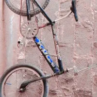 دوچرخه 20حرفه ای