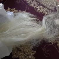 تور ماهیگیری