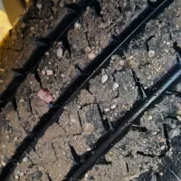 مزدا دوکابین ۲۰۰۰ ژاپن مدل ۹۲|خودرو سواری و وانت|تایباد, |دیوار