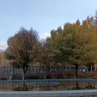 خانه آپارتمانی میخام