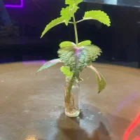 تجهیزات کافه فعال