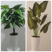 درختچه و گل مصنوعی|گل مصنوعی|فومن, |دیوار