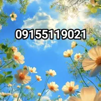 سیم کارت خشک09155119021