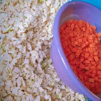 کار در کارگاه سبزیجات آماده طبخ|استخدام خدمات فروشگاه و رستوران|لاهیجان, یوسف آباد|دیوار