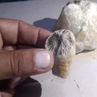 سنگ قیمتی|جواهرات|علیآباد کتول, |دیوار