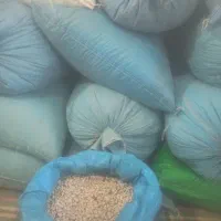 لوبیا چیتی درجه یک برداشت امسال  ۳۸۰|خوردنی و آشامیدنی|رستم, |دیوار