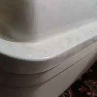 دستگاه جوجه کشی اسکندری ایزی باتور ۲|لوازم جانبی حیوانات|ری, دولت‌آباد|دیوار