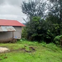 خانه سنتی تالار دار جنگلی ویو دار|فروش خانه و ویلا|احمدسرگوراب, |دیوار