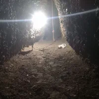 چاه کن مغنی مقنی|خدمات پیشه و مهارت|کرج, حصارک پایین|دیوار